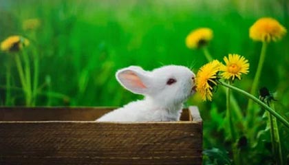 父母离婚,儿子成年后起诉父亲索要抚养费;法院驳回:孩子应感恩父母,并提升能力