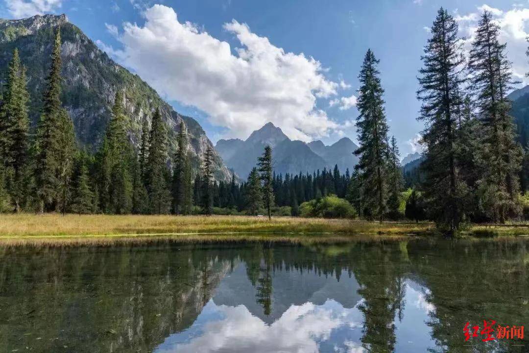 李子柒又更新视频：身穿绒花蜀锦裙深情弹唱《如愿》，取景地在平武王朗