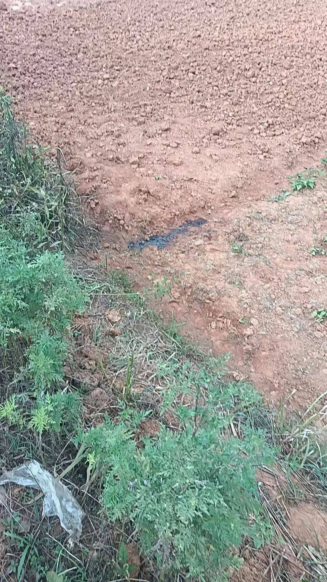 工人被误当猎物枪击身亡，警方通报：屈某某、罗某某被刑拘