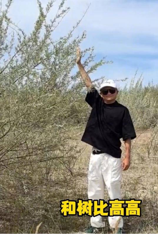 马云时隔六年再现身蚂蚁森林，被摄像头拍到合影瞬间