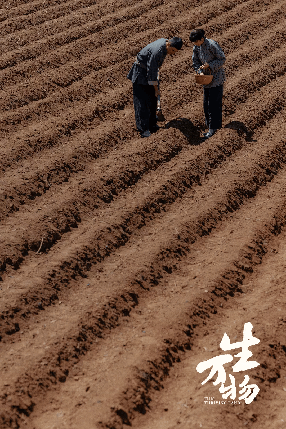 俺不中了,《生万物》是真人版斗地主?