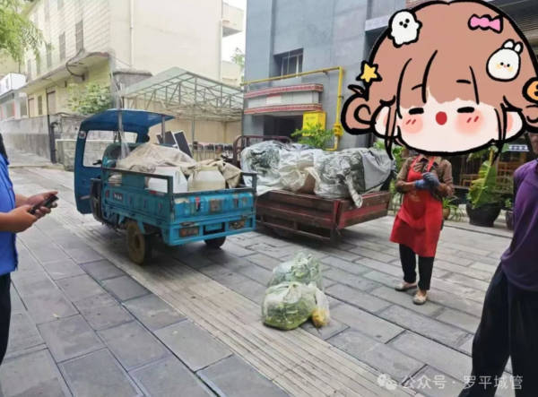 云南罗平一女子拉泔水被处罚，官方：根据法规泔水未经处理不能喂猪