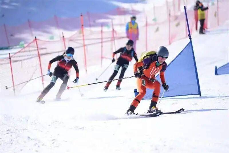 实用宝典｜滑雪鞋靴申报指南