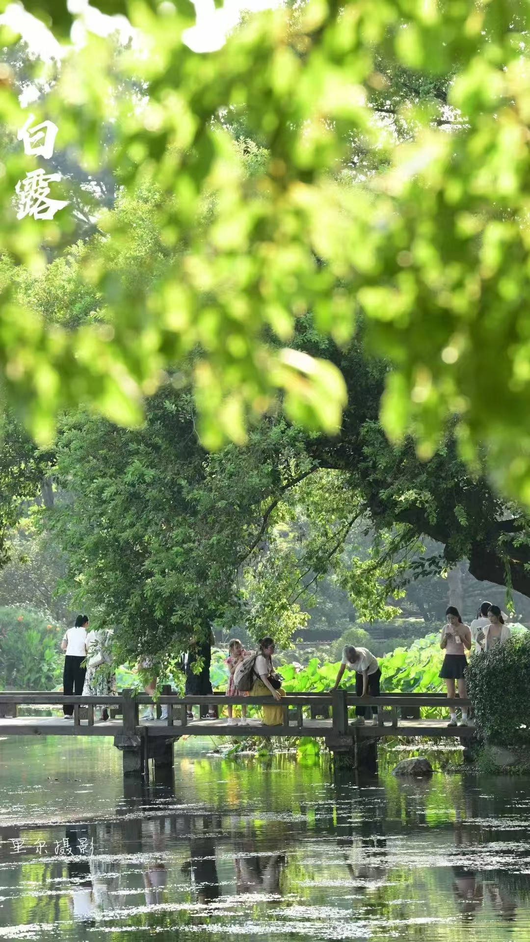 40℃的白露太夸张，熬过今明两天，浙江真能告别高温吗