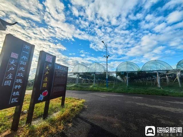 独立调查丨中国农民丰收节为啥选在山东这个小山村里办？