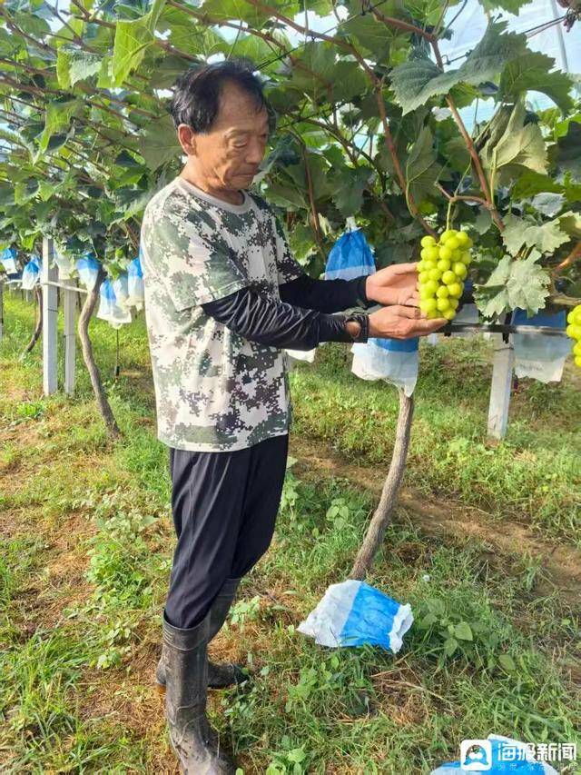 独立调查丨中国农民丰收节为啥选在山东这个小山村里办？