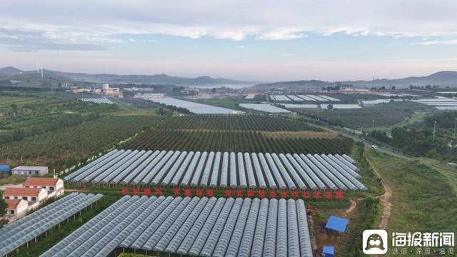 独立调查丨中国农民丰收节为啥选在山东这个小山村里办？