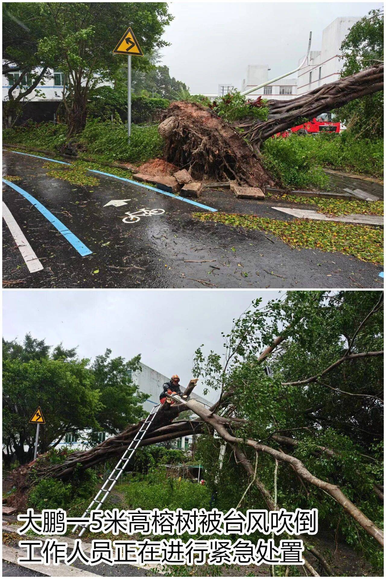台风夜,深圳有人溺水!紧急!“桦加沙”过境,这些画面泪目