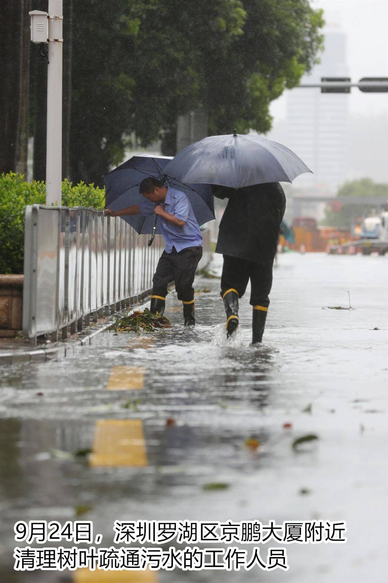 台风夜,深圳有人溺水!紧急!“桦加沙”过境,这些画面泪目
