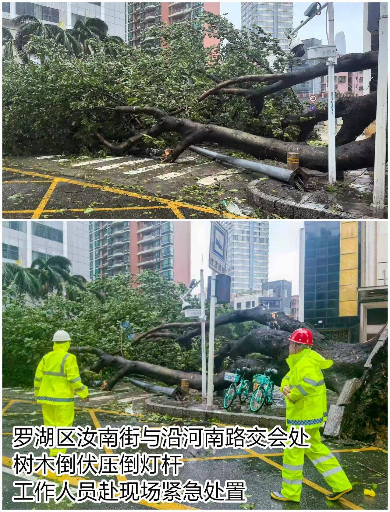 台风夜,深圳有人溺水!紧急!“桦加沙”过境,这些画面泪目