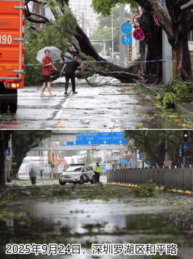 台风夜,深圳有人溺水!紧急!“桦加沙”过境,这些画面泪目