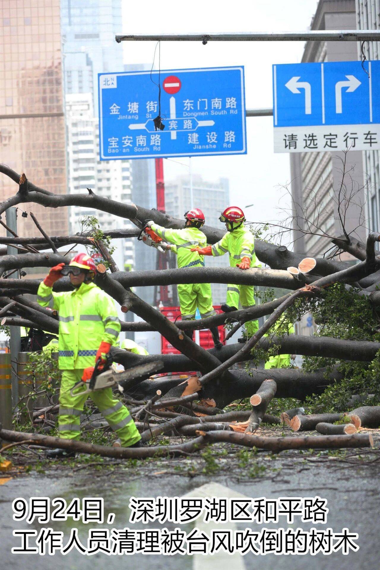 台风夜,深圳有人溺水!紧急!“桦加沙”过境,这些画面泪目