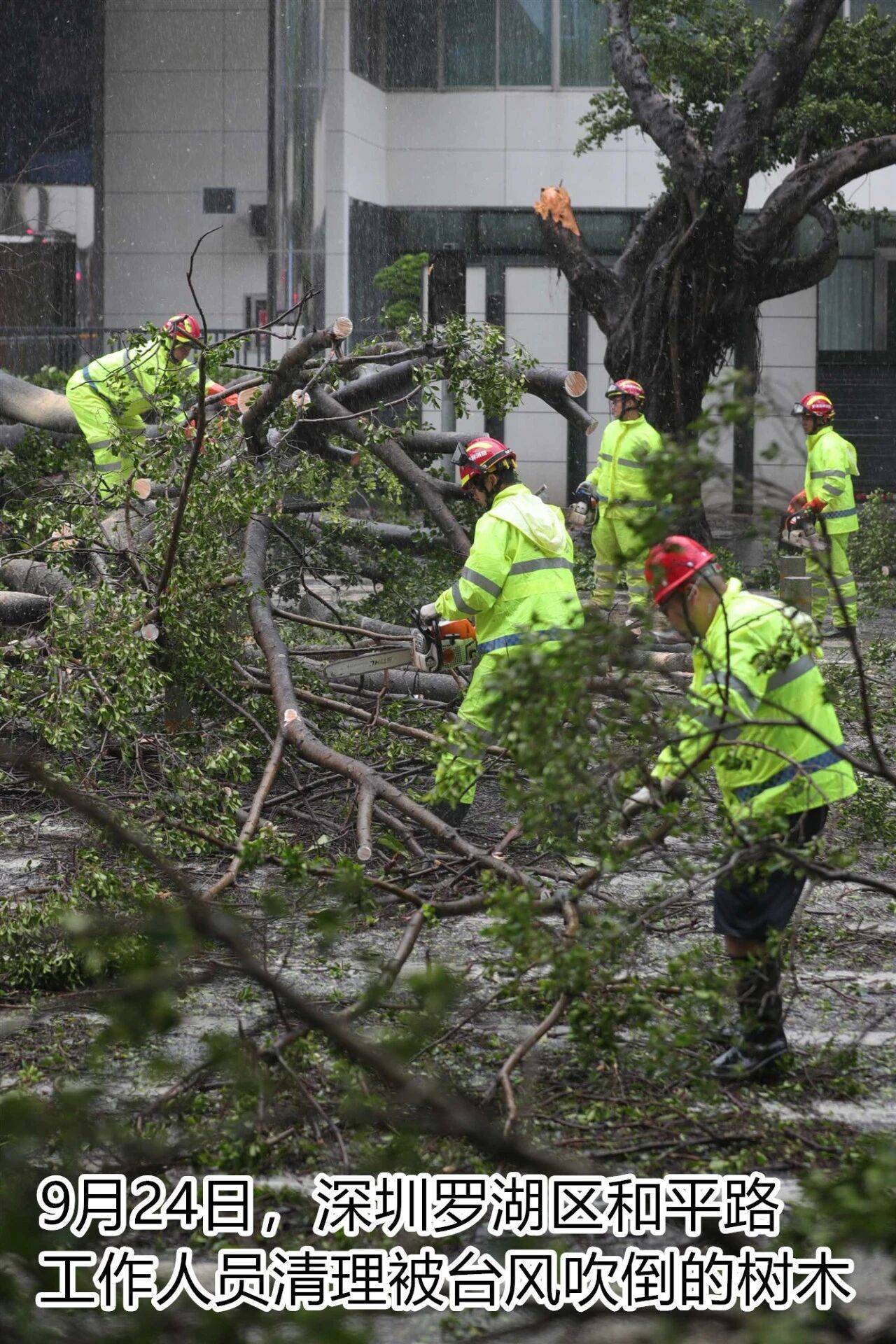 台风夜,深圳有人溺水!紧急!“桦加沙”过境,这些画面泪目