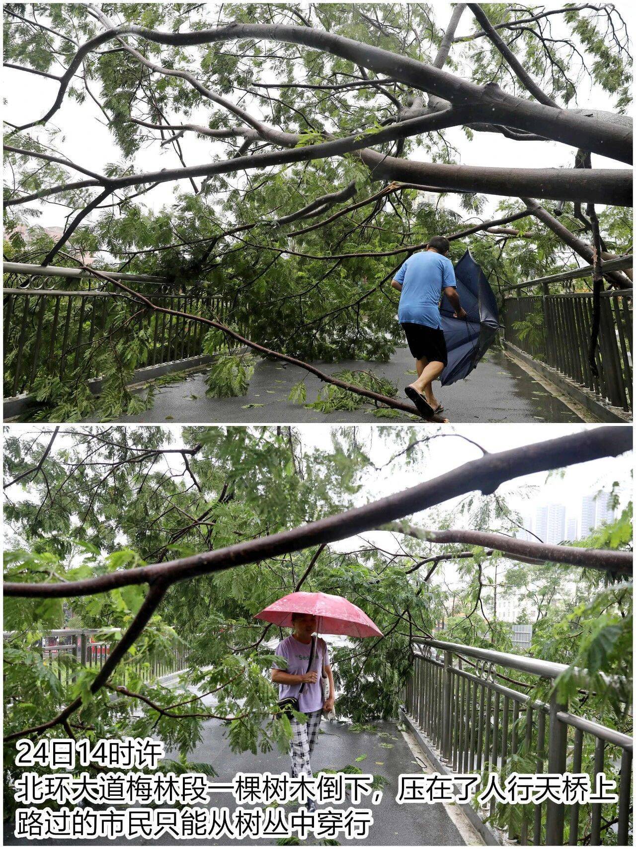 台风夜,深圳有人溺水!紧急!“桦加沙”过境,这些画面泪目