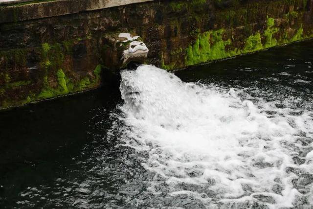 秋色满城 历下有约丨护城河畔美出圈!解锁历下限定秋日浪漫