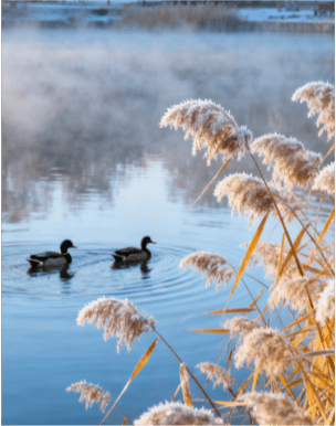 寒露遇雨!北京开启湿冷魔法攻击,防雨保暖安排上(2025-10-8)