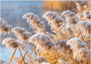 寒露遇雨!北京开启湿冷魔法攻击,防雨保暖安排上(2025-10-8)