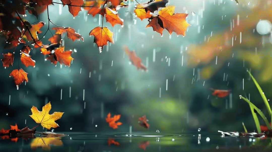 寒露遇雨!北京开启湿冷魔法攻击,防雨保暖安排上(2025-10-8)