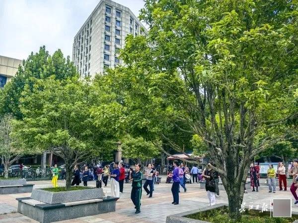 满城都是甜甜的!不要捡,不要吃!