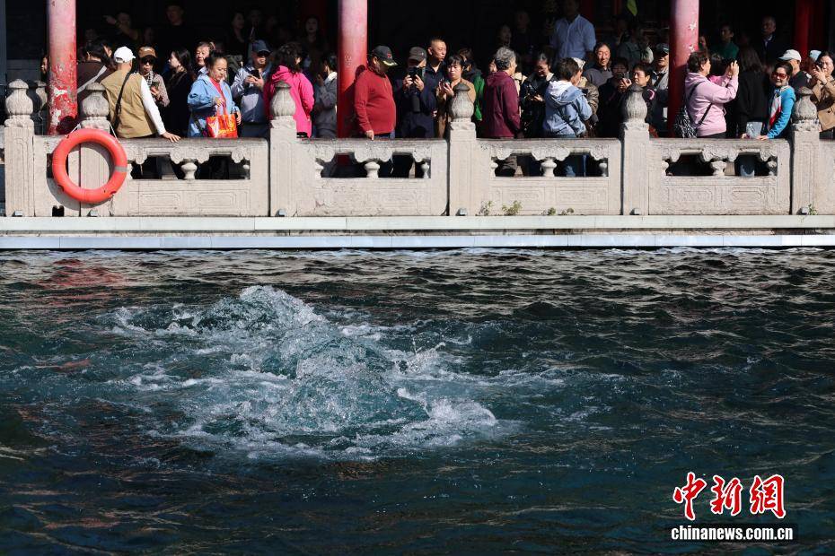 济南趵突泉水位创60年来最高纪录 迎最佳观赏期