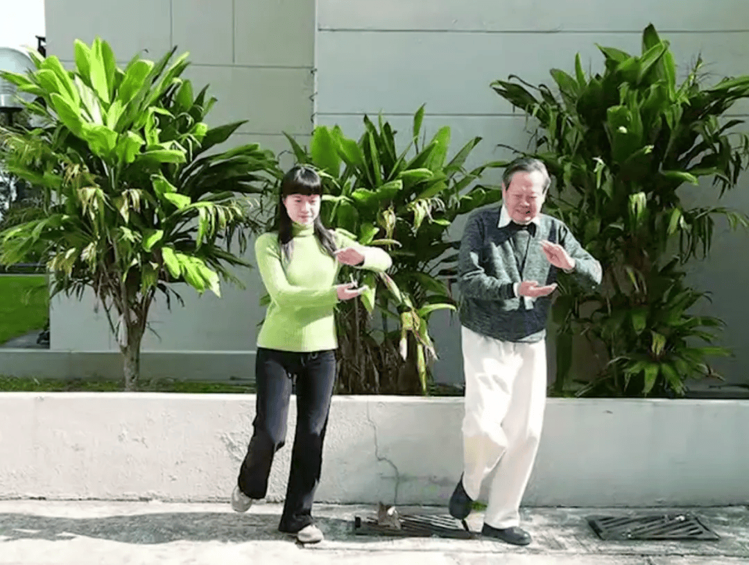 103岁杨振宁去世,象牙塔倒塌