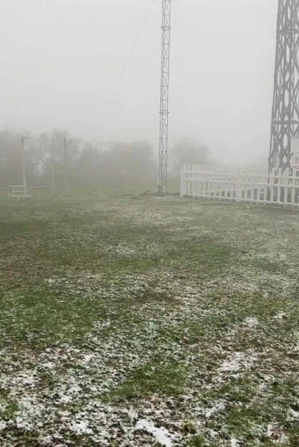 今年会出现极寒冷冬吗？