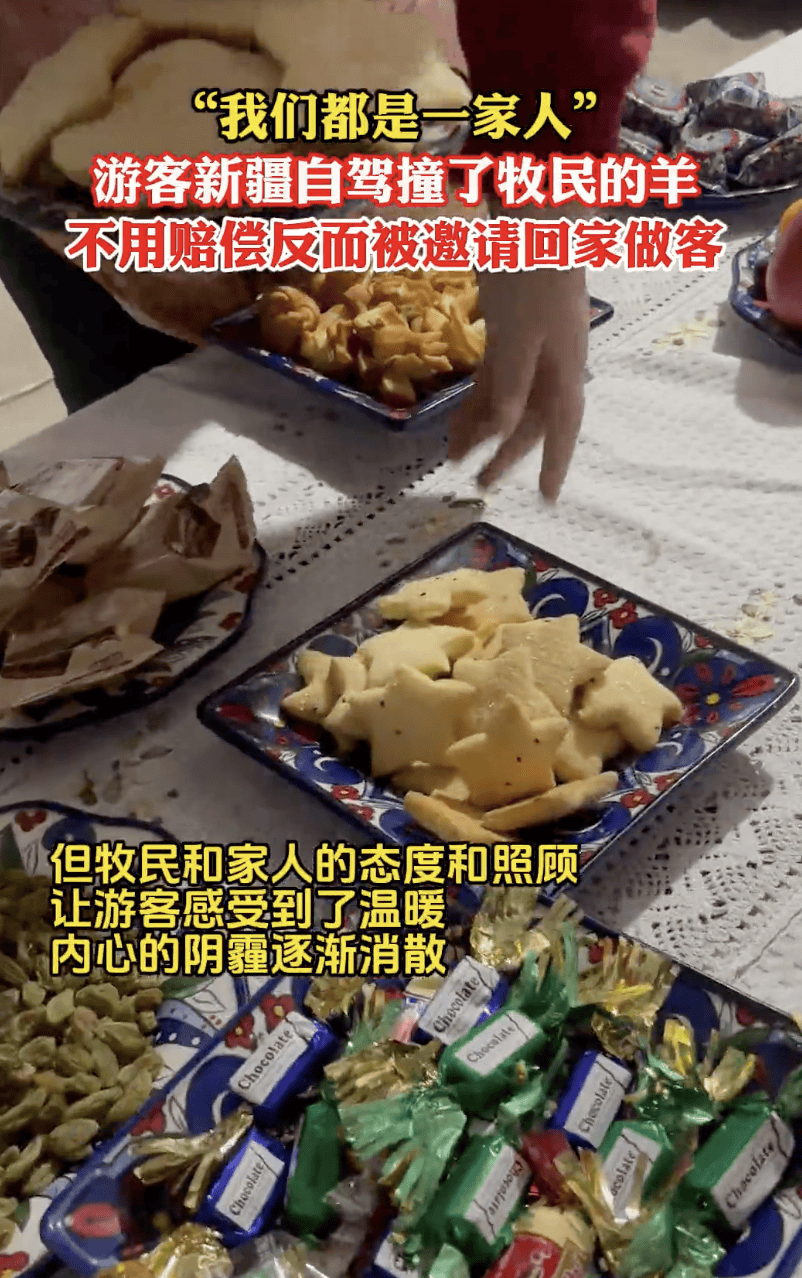 游客撞伤一只羊,牧民说:“跟我走!”结局太意外!