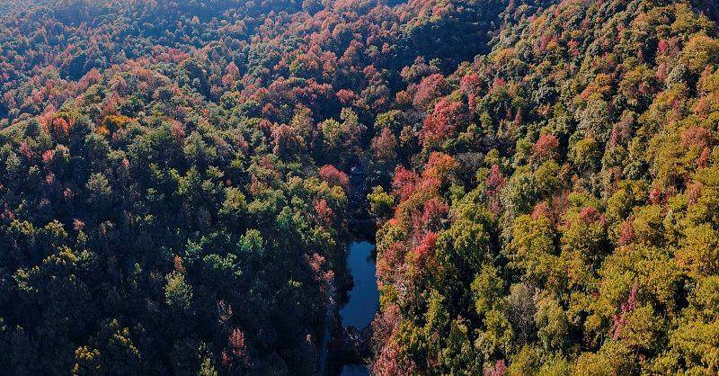 霜降已到，全国红叶上线中！这些“出片宝地”藏不住了