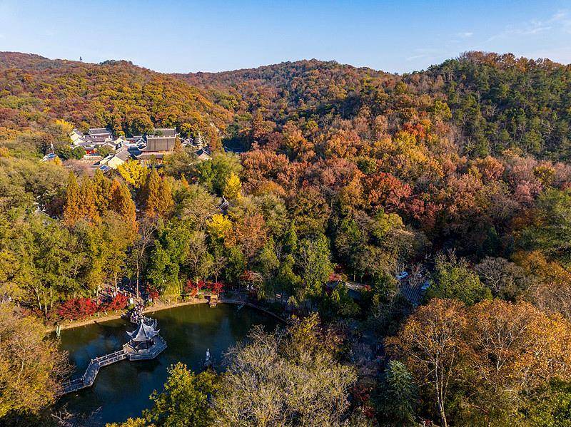 霜降已到，全国红叶上线中！这些“出片宝地”藏不住了
