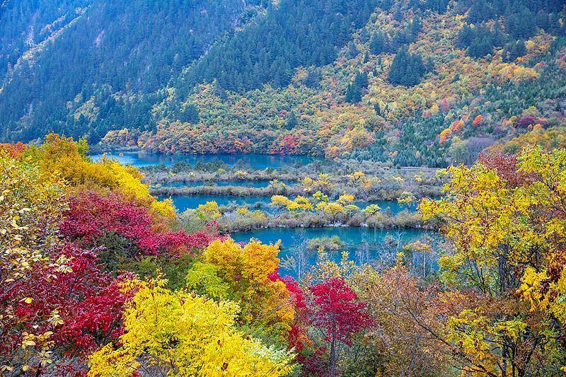 霜降已到，全国红叶上线中！这些“出片宝地”藏不住了