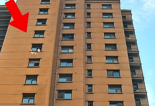 江苏徐州一小区有人频繁高空抛物，警方通过被扔快递盒上信息寻找肇事业主，记者联系物业公司，回应来了