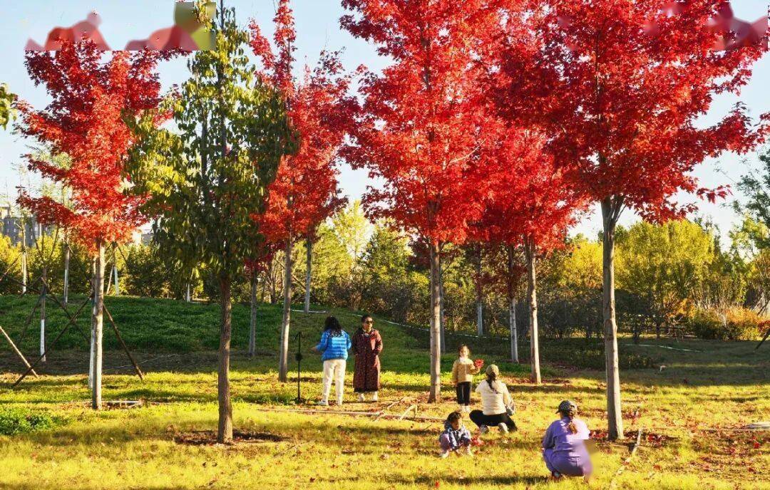 北京新添一个超美大公园!占地超300亩