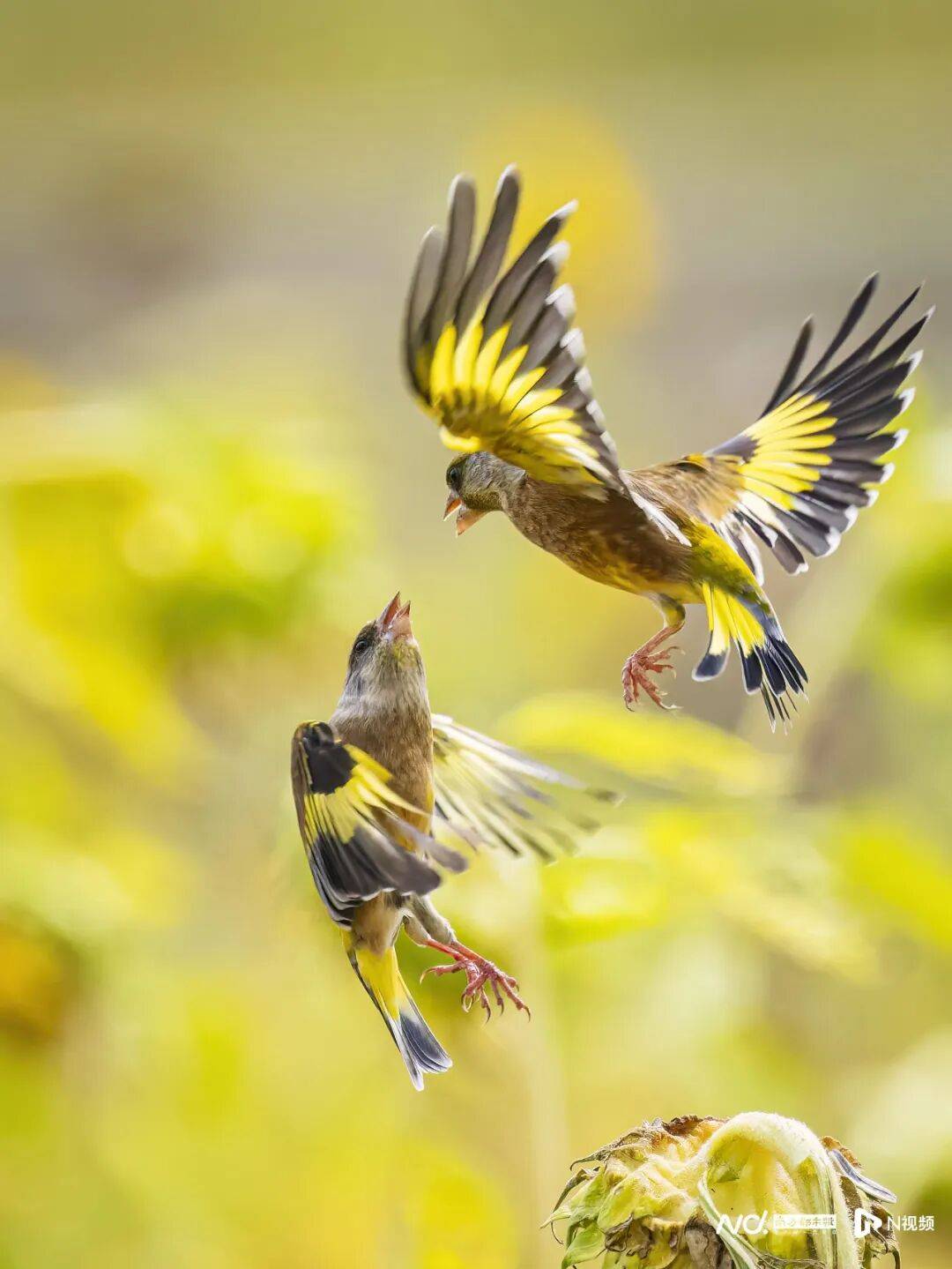 东莞最新发布：将严厉打击这些行为！