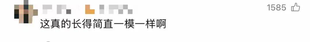 47岁杨雪晒与15岁女儿同框视频,网友直呼:太像了,怎么做到共用一张脸