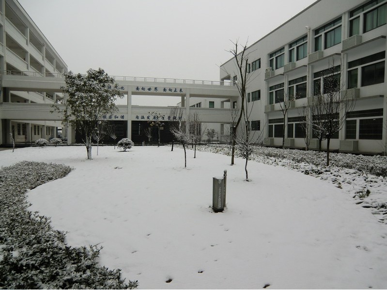 余姚证券(余姚证券公司有几家)