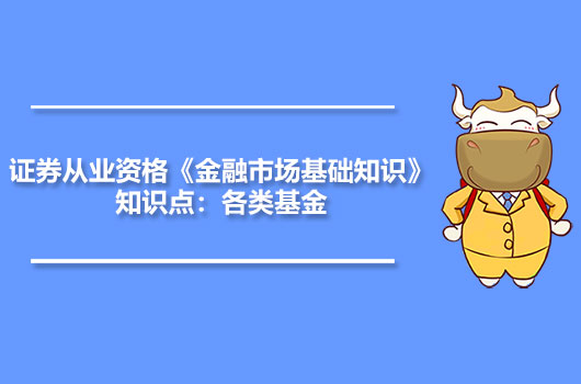 证券资金管理(证券资金管理办法最新)