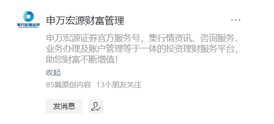 申银宏源证券(申万宏源证券app下载官网)