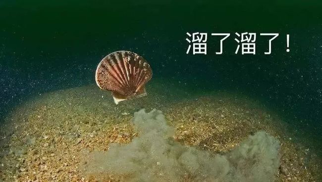 证券监管部门(证券监管部门调查发现,1年前在证券)