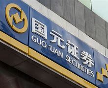 国元证券官方下载(国元证券app注意事项)