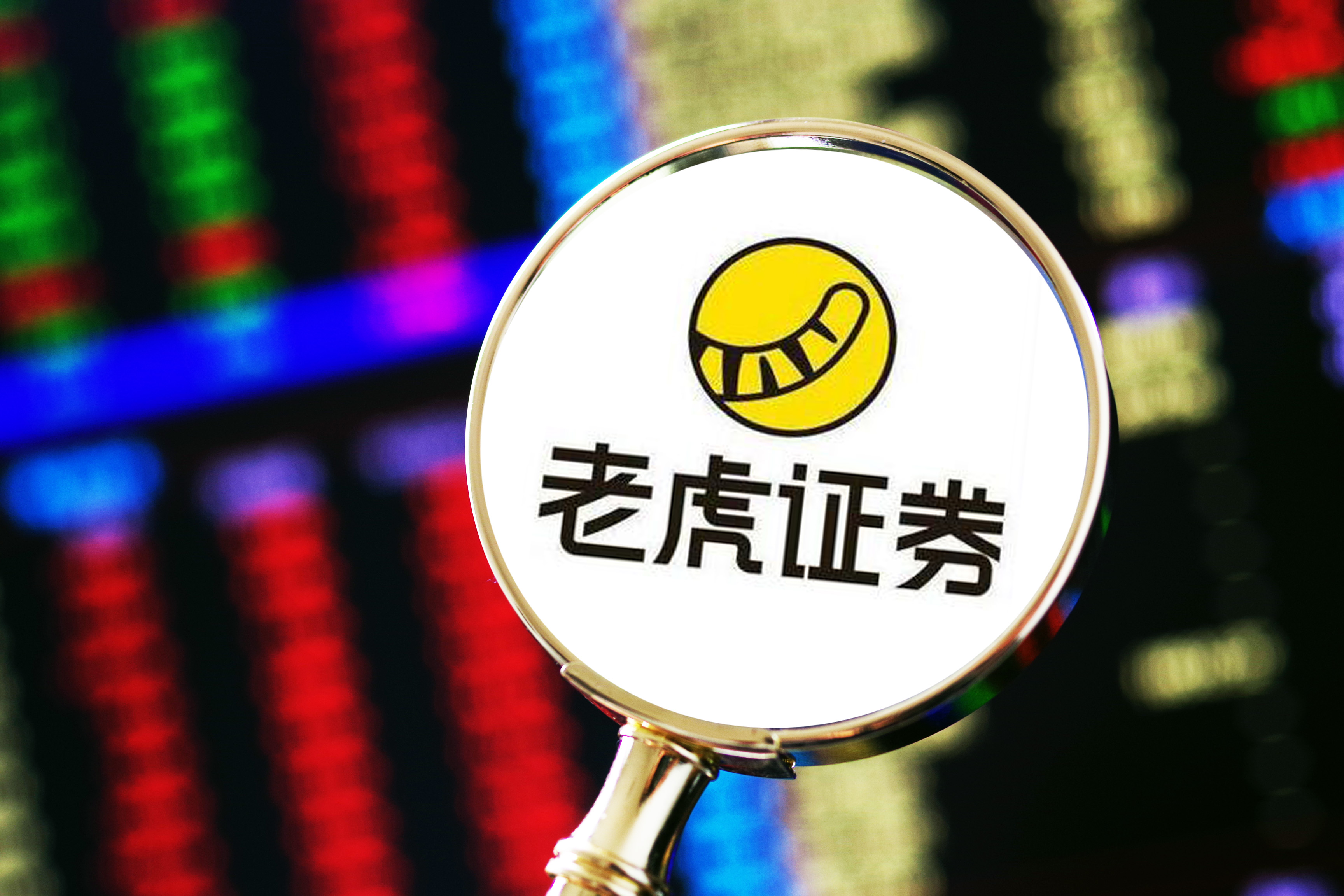 老虎证券公司(老虎证券公司电话)