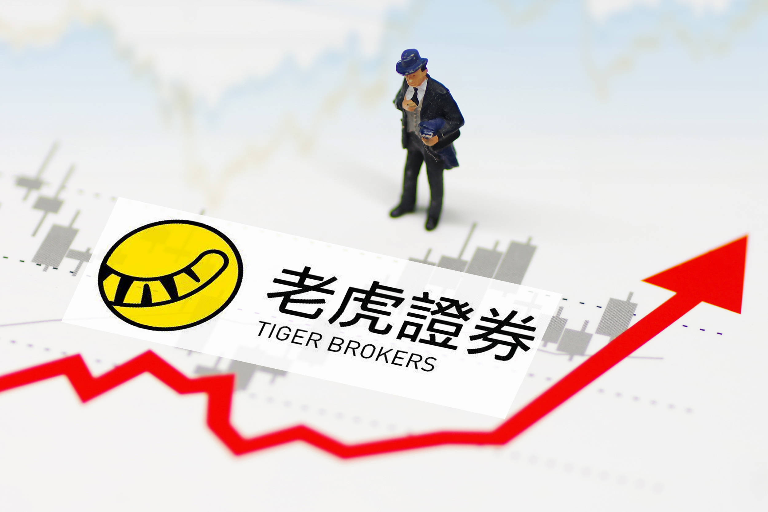 老虎证券公司(老虎证券公司地址)